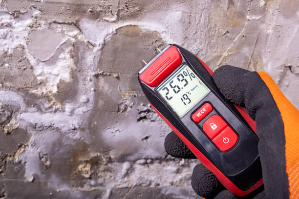 Best Local Mold Removal Service  in Colleyville, TX