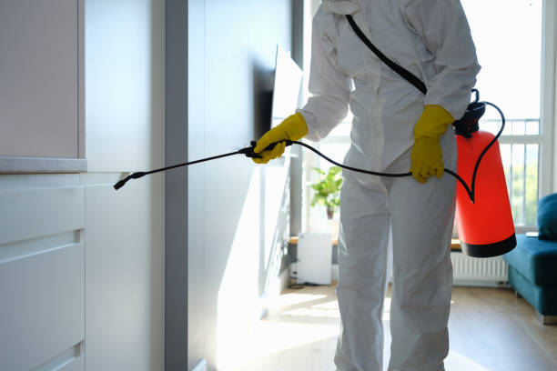 Colleyville, TX Mold Removal Company