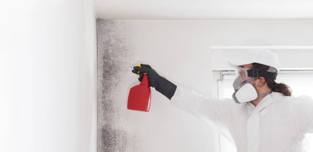 Best Crawl Space Mold Removal  in Colleyville, TX