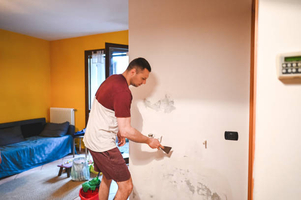 Best Fast Mold Removal  in Colleyville, TX