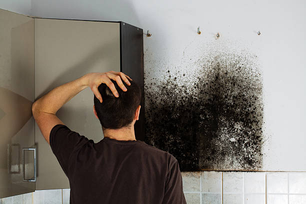 Best Toxic Mold Removal  in Colleyville, TX